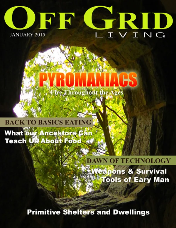 January 2015 — cover
