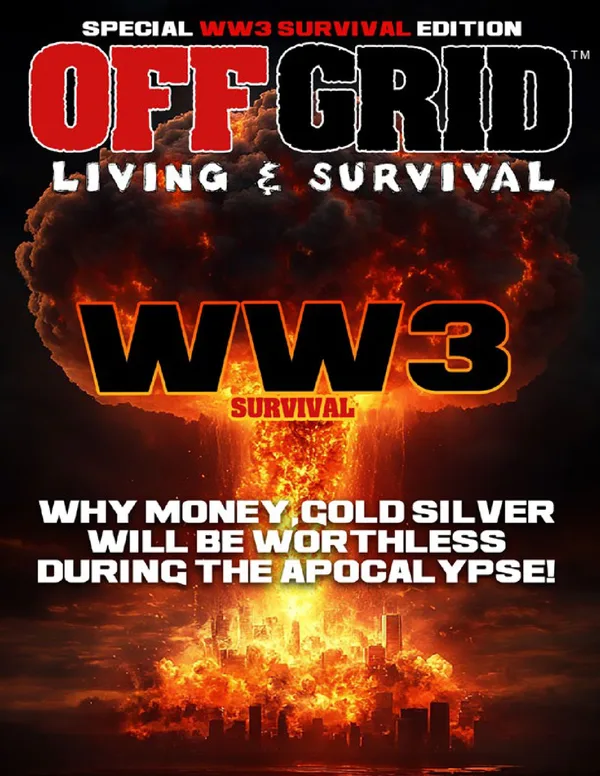 WW3 Survival — cover