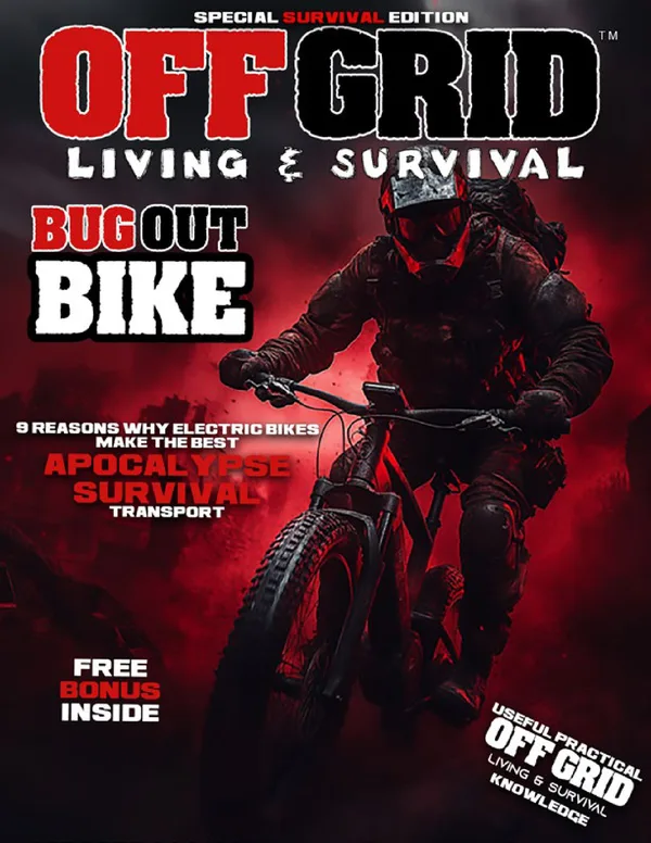 E-Bike Survival — cover