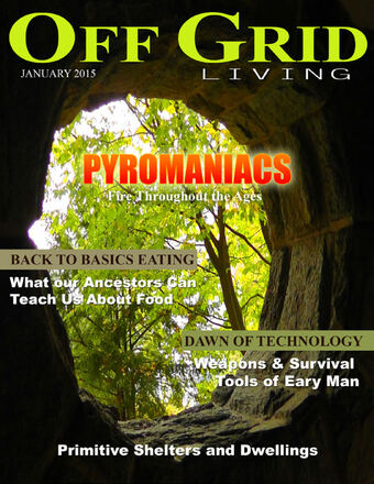 January 2015 — cover