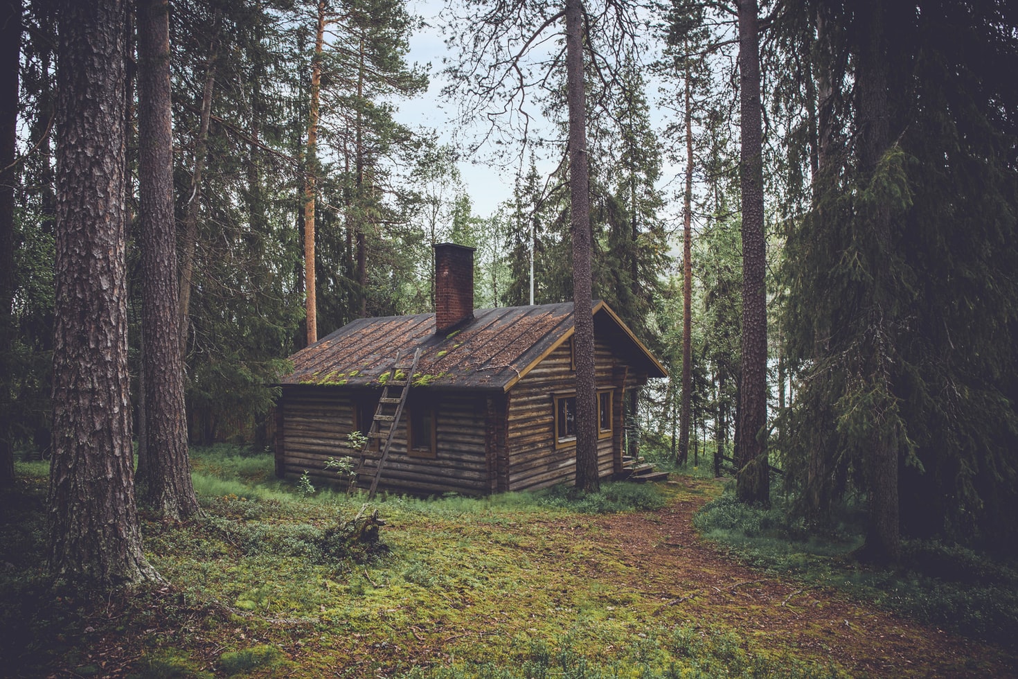 Solar powered off grid cabin